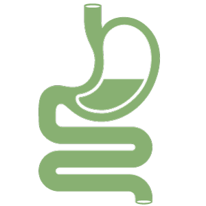 Symbol Gastroenterologie